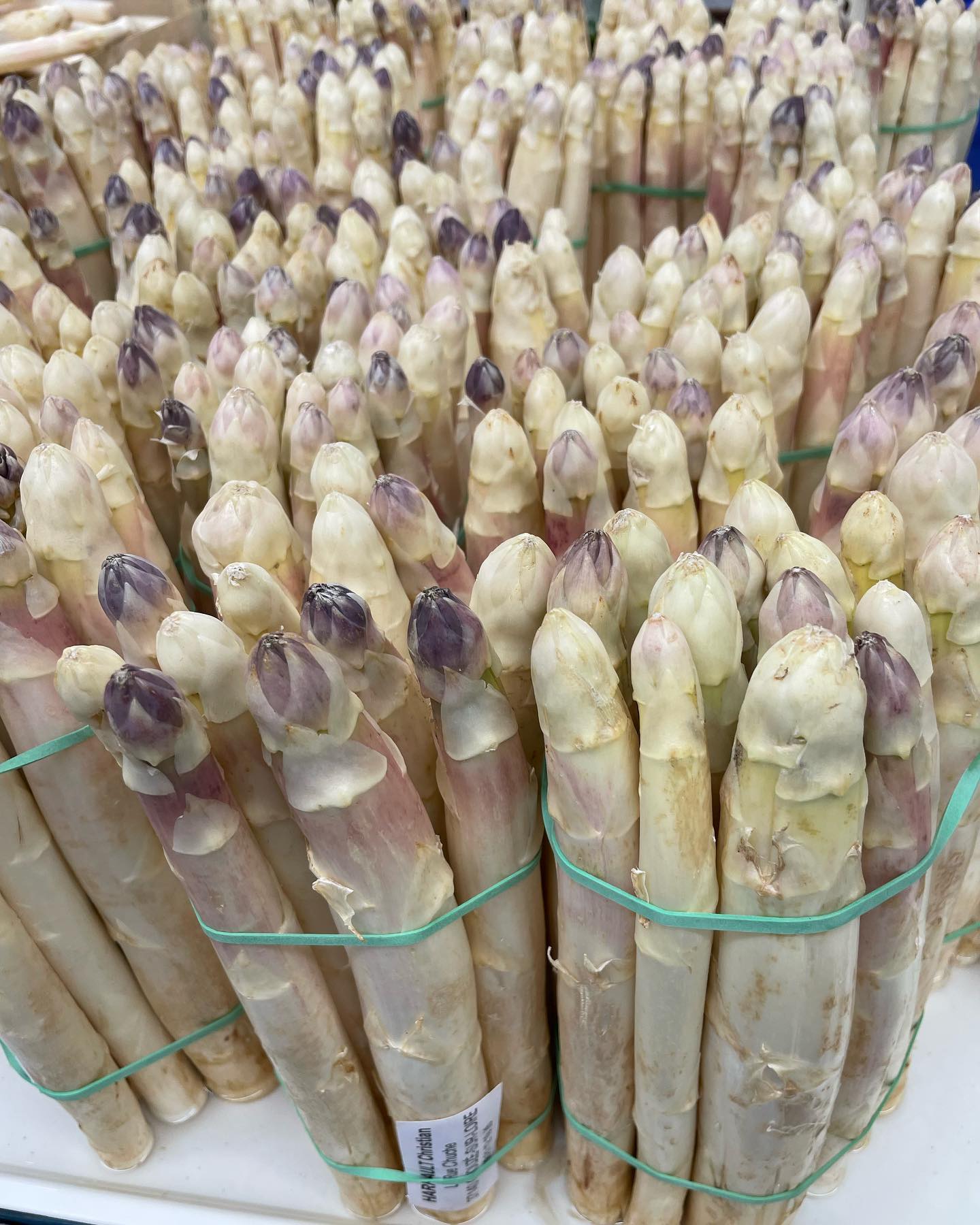 White asparagus is in season and made it’s way onto another menu this evening in the Loire valley…roasted and served with pork tenderloin medallions and a Dijon cream.
#retiredchef #loirevalley #whiteasparagus #chefmichaelsalmon
